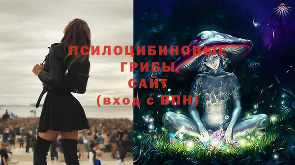 метадон Аркадак