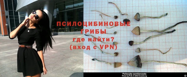 соль ск Армянск