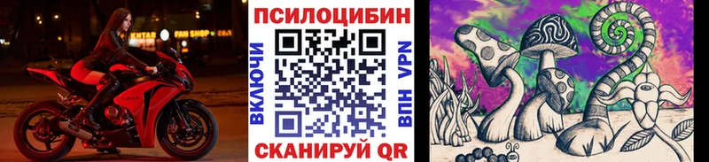 Галлюциногенные грибы Psilocybe  хочу   Горбатов 